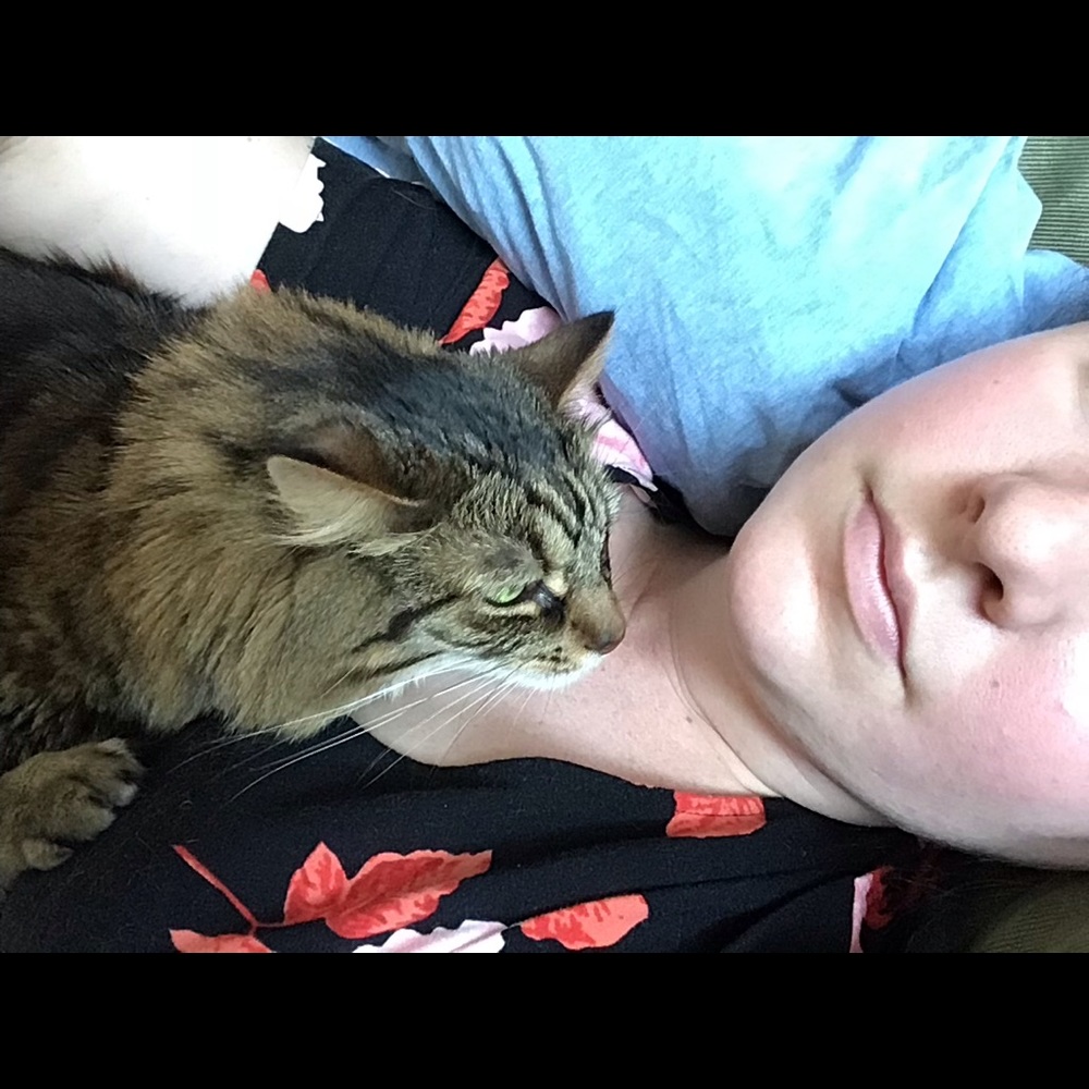 Meet your Posher, Paige